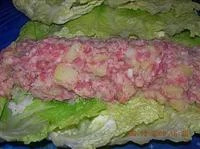 Mettere l'impasto al centro delle foglie di verza